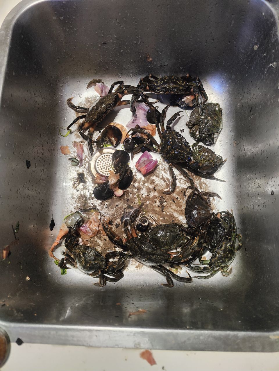 crabes